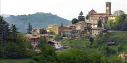 Fortunago