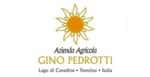 Gino Pedrotti Vini Trentino