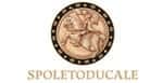 Spoleto Ducale Umbria Wine and Olive Oil ine Cellar in - Locali d&#39;Autore