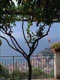 griturismo Villa Maria Costa d&#39;Amalfi - Locali d&#39;Autore