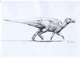alaeontological site of the biggest and most complete Italian Dinosaur - Locali d&#39;Autore