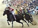 iena&#39;s Palio horse race - Locali d&#39;Autore